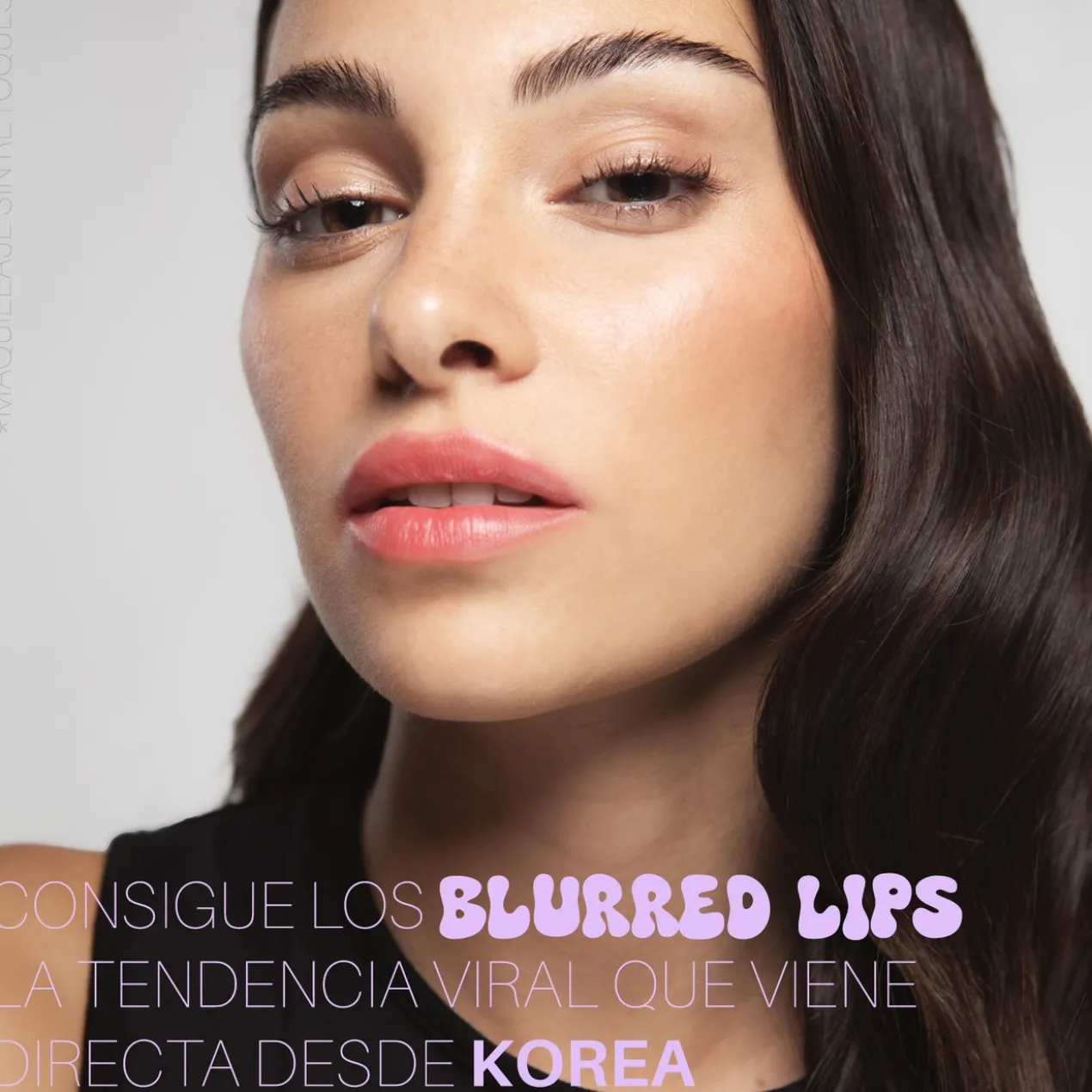 Must Have Blurring K-Pop Lip Brush Pincel Labial