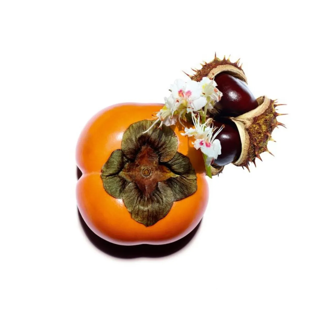 Nutri Lumière Revive Creme de Dia