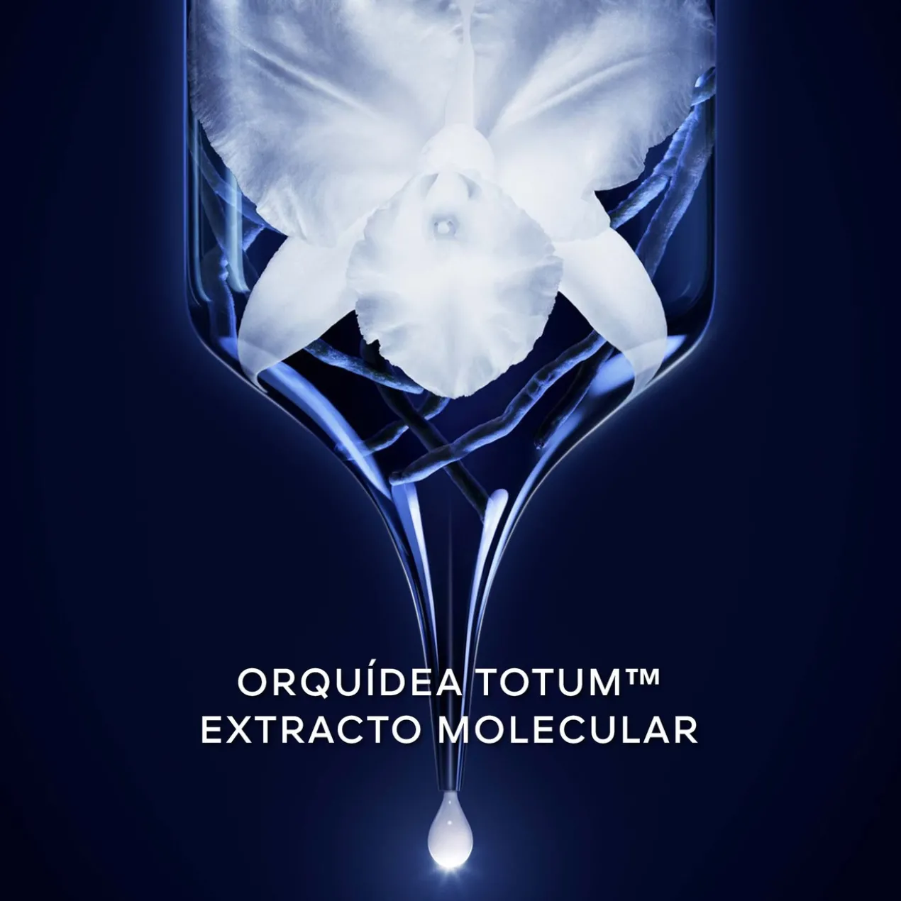 Orchidée Impériale Espuma de Limpeza