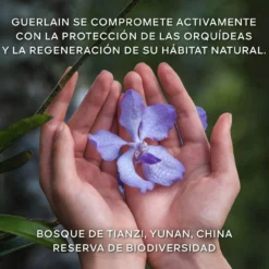 Orchidée Impériale O Creme Rico de Longevidade