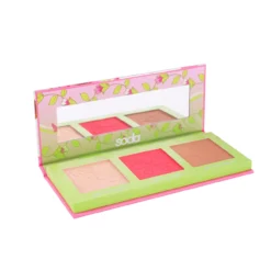 Paleta Winx Swirl Of Petals Rosto E Olhos #magicalpower