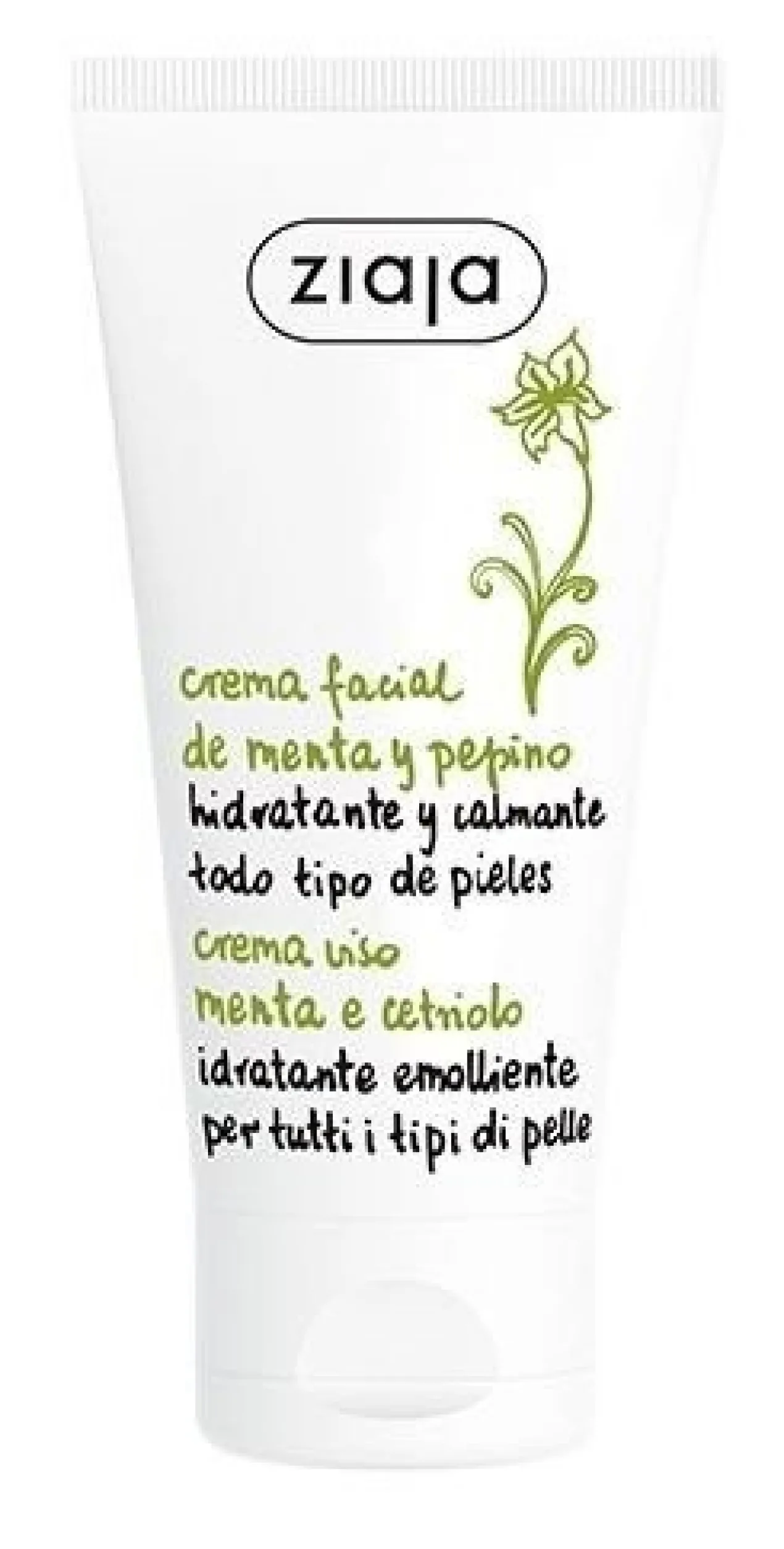Pepino e Menta Creme facial hidratante