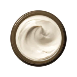 Plantscription Creme Antienvelhecimento SPF 25