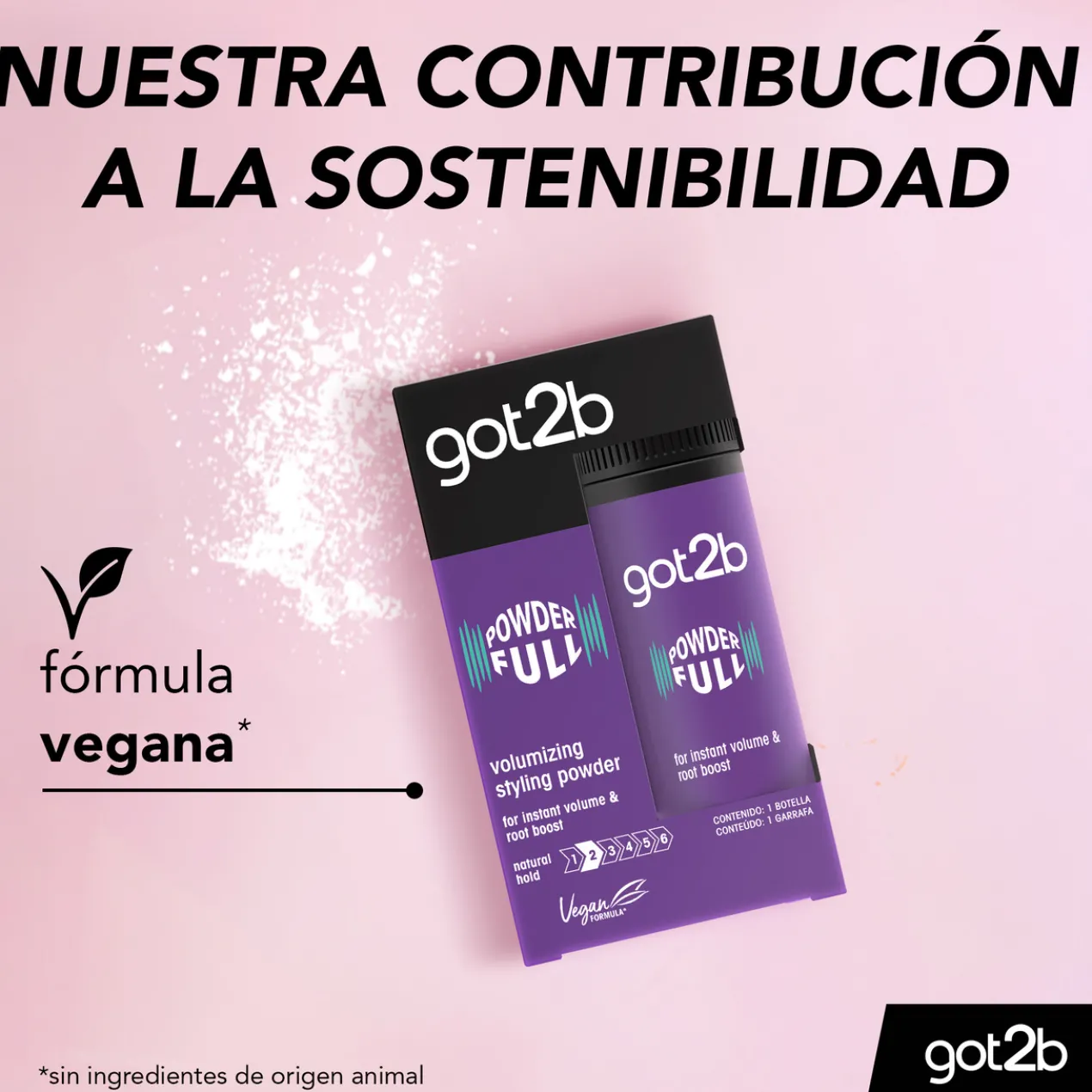 Powder Full Pó Volumizador