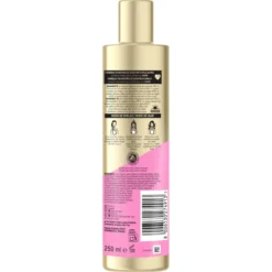 Pro-V Repara & Protege Miracle Champô Artist Edition