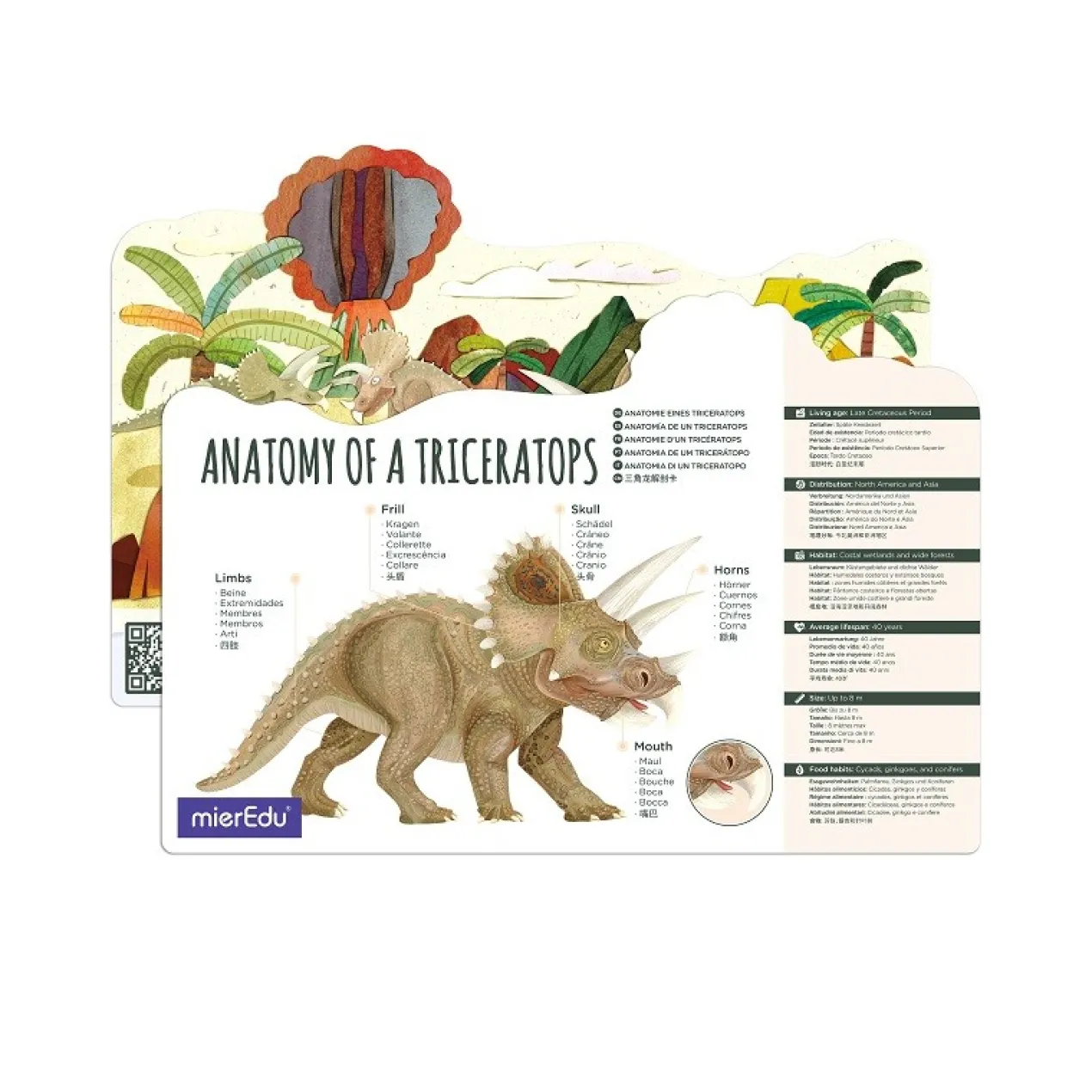 Puzzle Eco 3D Triceratops