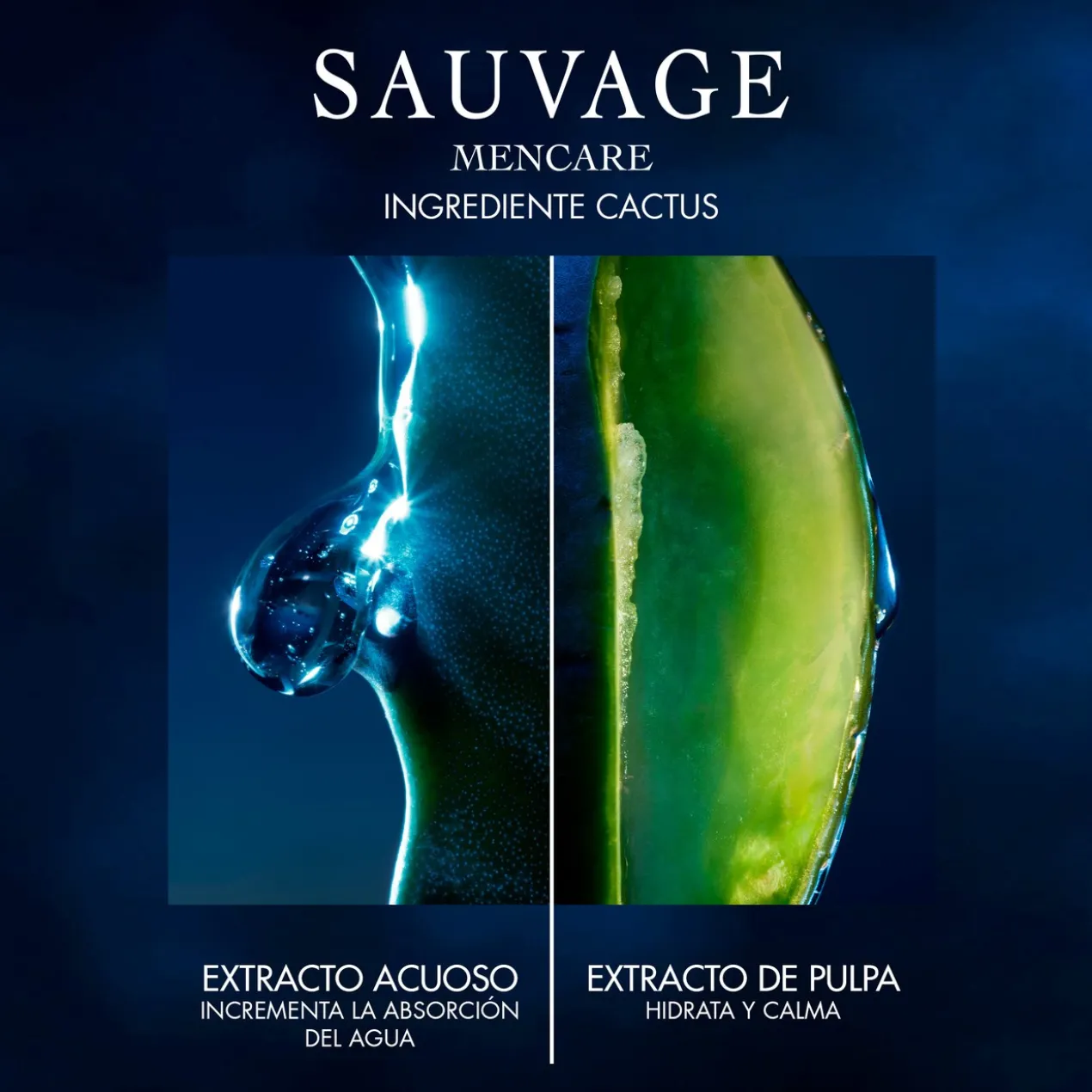 Sauvage Loção Facial