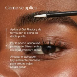 Set The Big Brow Edition