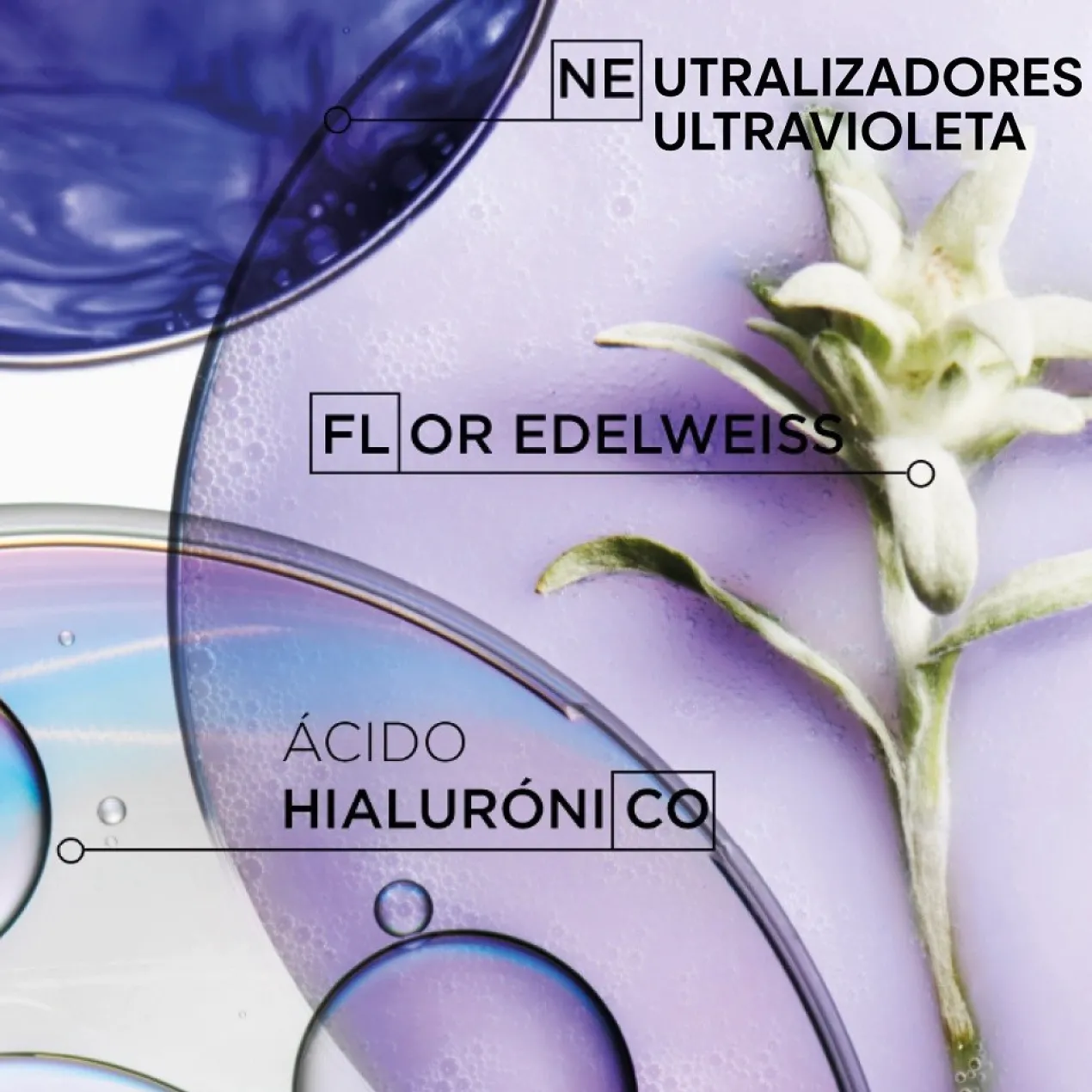 Shampoo Bain Ultra-Violet Blond Absolu