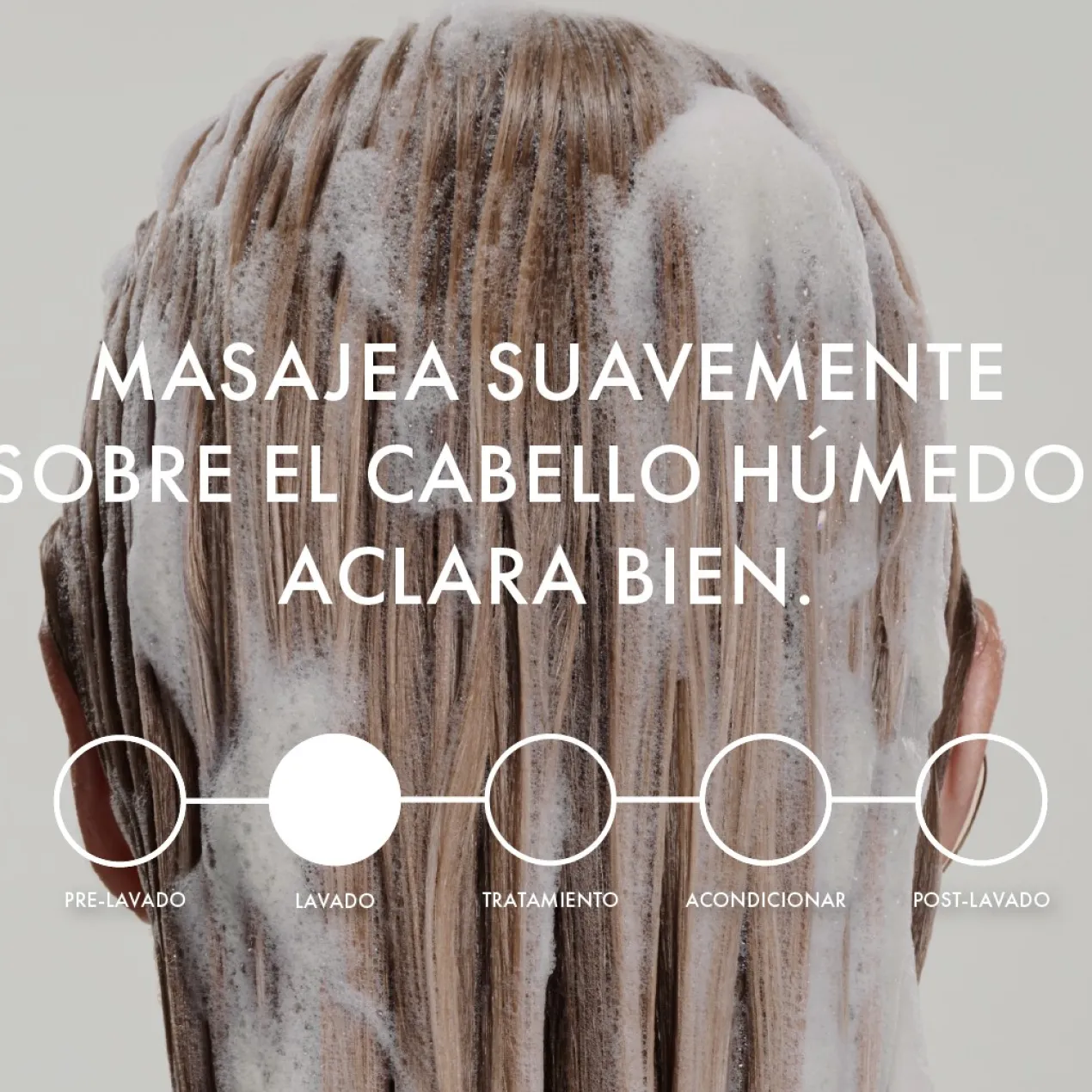 Sheer Blond Shampoo Aclarador Go Blonder