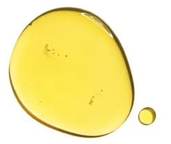 Tonic Treatment Oil