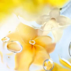 Ô Zenith Eau de Toilette
