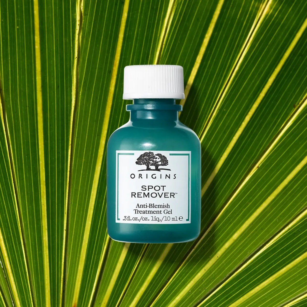 Zero Oil Tratamento em Gel Para Borbulhas